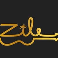 TikTok Account - zilemizik