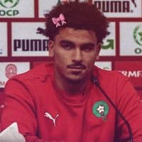 TikTok Account - amirowww38