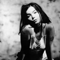 TikTok Account - br4infck