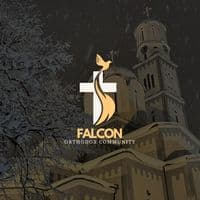 TikTok Account - themissingfalcon
