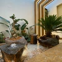 TikTok Account - g__91_91