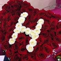 TikTok Account - nursulu_90