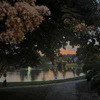 TikTok Account - i.was.not.magnificent