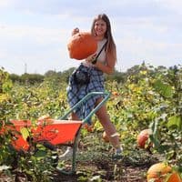 TikTok Account - katsi_tik