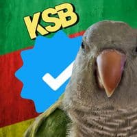 TikTok Account - kennyslowbird