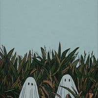 TikTok Account - canciones345353