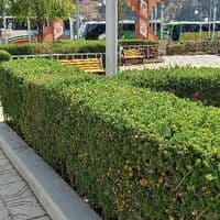 TikTok Account - yuly_jr0