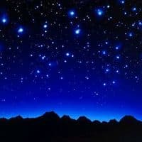 TikTok Account - lomejorenvideo