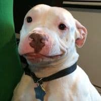 TikTok Account - kmaxdty