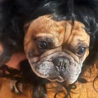 TikTok Account - rohzeee13