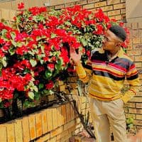 TikTok Account - masilivawodumo30