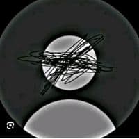 TikTok Account - jimytapia13