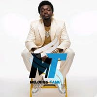 TikTok Account - melodies_tamuu_lyrics