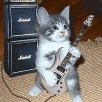 TikTok Account - this.banger