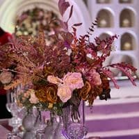 TikTok Account - shot_by_rita