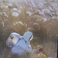 TikTok Account - lovelies540