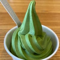 TikTok Account - belpaigemerp