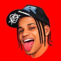 TikTok Account - necionyc