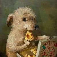 TikTok Account - sollgeee