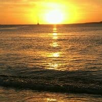 TikTok Account - gaby_cittadini2479