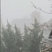 TikTok Account - fairygrunge