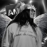 TikTok Account - adri.lyrics