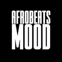 TikTok Account - afrobeatsmood