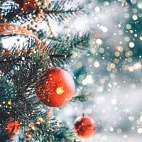 TikTok Account - craciun.fericit34