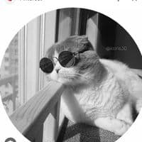 TikTok Account - patronat05