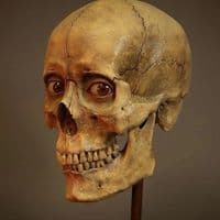 TikTok Account - skiddlerfiddlerton