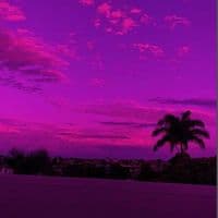 TikTok Account - m.mdluli0