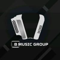 TikTok Account - bmusicgroup
