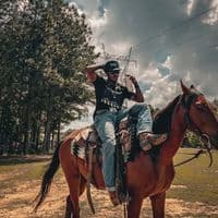 TikTok Account - teewhatleyofficial