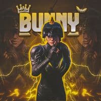 TikTok Account - l3unny_playz