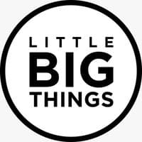 TikTok Account - littlebigthings_