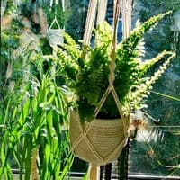 TikTok Account - creativity744