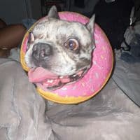 TikTok Account - hi073803