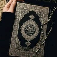 TikTok Account - qurancollection