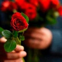 TikTok Account - dali72771