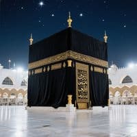 TikTok Account - lz0fboh7p3