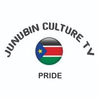 TikTok Account - junubinculture.tv