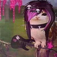 TikTok Account - la.pepinito