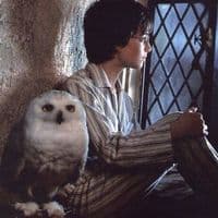 TikTok Account - hpify