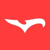 TikTok Account - jerseybirdofficial