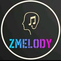 TikTok Account - zmelody6