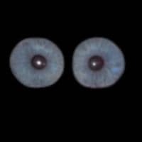 TikTok Account - spotifymixymix