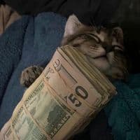 TikTok Account - chill_out_with_th