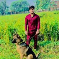 TikTok Account - chdhillon1