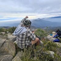 TikTok Account - magronedonmacetas