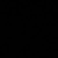 TikTok Account - pakeyal